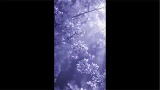 Living with my friend and playing piano and having fun!!🤩
