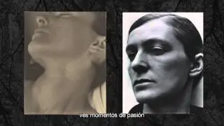 Paul Strand - La Multiplicidad de la mirada - Fot&oacute;grafo