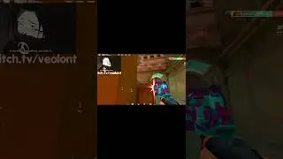 https://www.twitch.tv/vealont