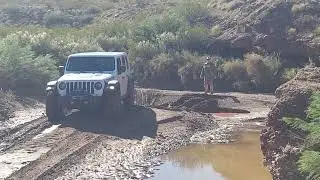 NM4W Gordy's 91425 - Pedro in Arroyo de Los Pinos