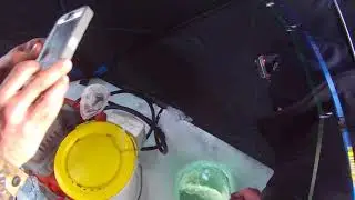 Local Bassholes catching 23
