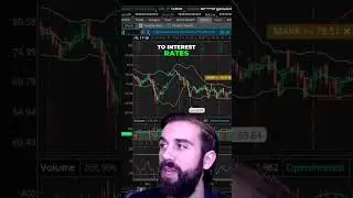 Understanding the Connection between Crude Oil, Bonds, and the Dollar