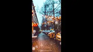 Snowfall Slow-Motion Winter || New 60fps WhatsApp Status