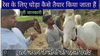 Race के घोड़े कैसे तैयार होते है || लाखो करोड़ो की कमाई || Full information|| 2BROTHERSRK