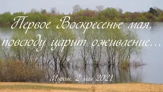 Первое Воскресенье мая, повсюду царит оживление, First Sunday in May, brisk everywhere