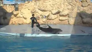 SDC10075