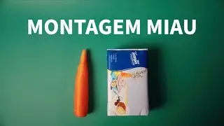 MONTAGEM MIAU (Cat Sounds Cover) | Carrot & Tissue Instruments