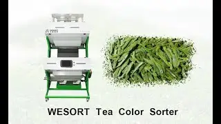 Wesort Tea Color Sorter, Sorting Black Tea, Green Tea, And Other Teas