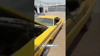 1973 Dodge Challenger: The Last True Muscle Car! #shorts
