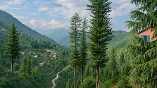 Shangla Top  | Green Nature & Breathtaking Views l Hidden Mountain Paradise of Pakistan