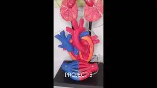 SCIENCE YATRA S FAIR PROJECT 1