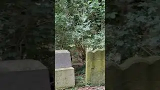 Oldest cemetery in Northern Ireland #horror #scary #scary #haunted #ghoststories #creepy #graveyard