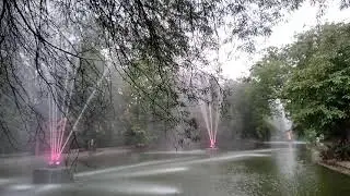 Fountain in a dense forest|| Beautiful fountain in Lake|| Amazing nature view ☺️☺️☺️