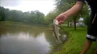 Micro CrankBait Challenge