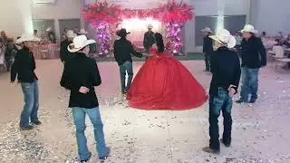 Vals de XV a&ntilde;os - Aleyvi
