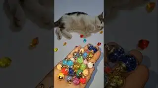 Cat Bella Beads 🌈🌸Reverse video#marblerunandmore #cat #reverse #kitten