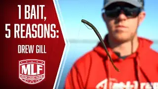 1 Bait, 5 Reason: Drew Gill