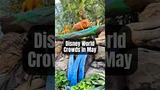 How Crowded is it Actually at Disney World in May&hellip;🤨 #disneycrowds #disneyworld #disneyvacation