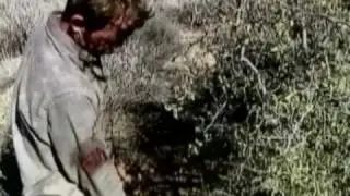 Aircrew Survival: The Will to Survive