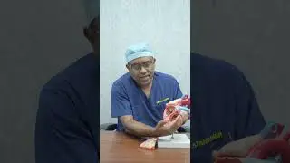 Dr. Atanu Saha on Rheumatic Heart Disease Causes & Treatment