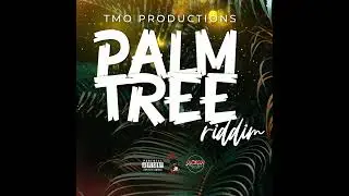 Baby Shanks - Tenom (Palm Tree Riddim)
