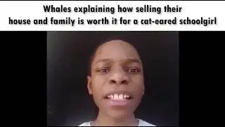 Blue Archive Community Slander (Part 1)