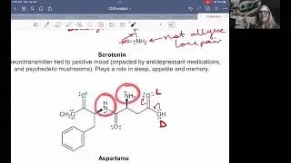 Глава 2 Часть 3 &mdash; делокализованные неподеленные пары и функциональные группы
