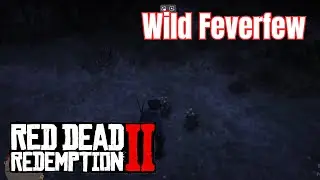 How to get 5 Wild Feverfew | Daily Challenge RDR2