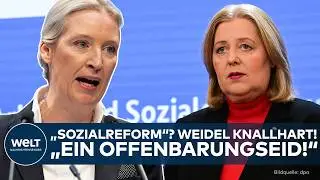 SOZIALREFORM?: „Noch größere Aufblähung!“  – Weidel degradiert Vorhaben der Regierung!