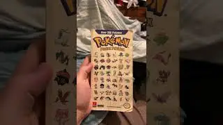 Do you have this Pok&eacute;mon book?