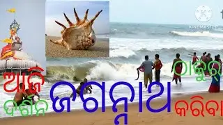 ଆଜି ପୁରୀ ଜଗନ୍ନାଥ ଠାକୁରଙ୍କୁ ଦର୍ଶନ କରିବା ପାଇଁ ଯିବା 🙏🏻 ଜୟ ଜଗନ୍ନାଥ 🙏🏻🙏🏻