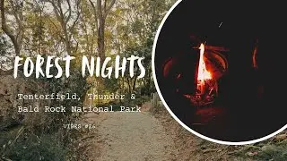 Faith and Forest Vibes #26 - Tenterfield Bald Rock National Park and Thunderstorms