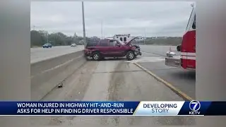 Woman injured in highway hit-and-run asks for help finding responsible driver