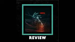 Nerv 