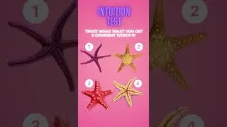 Intuition Test - Which starfish did I choose?