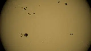 So Many Sunspots, Record Wave, Pro-Tip | S0 News Jan.17.2023