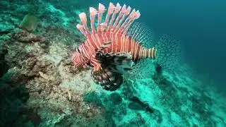 Padangbai・Bali・Indonesia