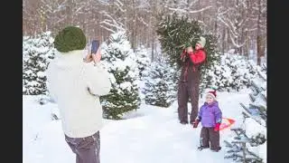 Purinton Family Tree Farm