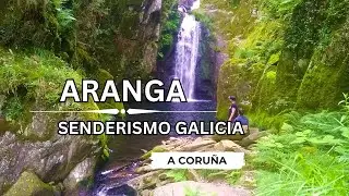 🇪🇸 🌳 Aranga (Val de Cambás) #Senderismo #Galicia #España