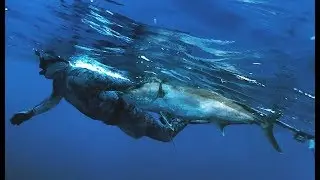 Spearfishing South Padre Island // 2018 Blue Water Reef Hunting