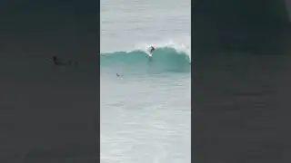 ENCINITAS SURF No.64: don't try to stand straight up
