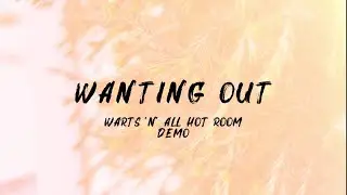 Fever Fields - Wanting Out (Warts &lsquo;n&rsquo; All Hot Room Demo) [Official Visualizer]