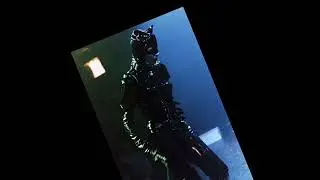 SLEEPCHAMBER- kiss the whip