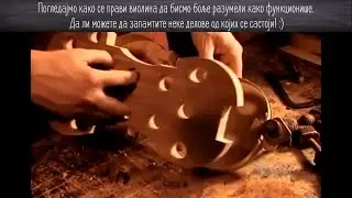 Виолина