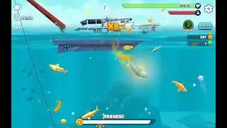 Consigo el tiburón MAKO