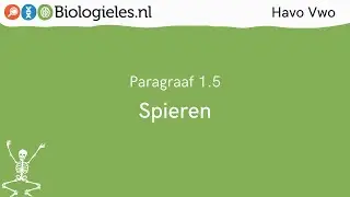 Havo Vwo 1 | Stevigheid en beweging | 5. Spieren | Biologieles.nl