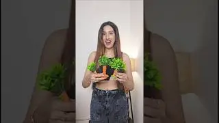 Meesho Artificial Plants Haul🔥 #meeshohomedecorhaul #meeshohomedecoritemshaul #meeshohaul #trending