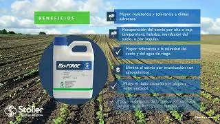 Bio-Forge&reg;