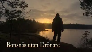 Bonsn&auml;s utan Dr&ouml;nare