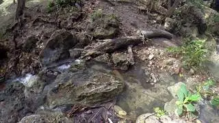 Streams at Bath Beach, Barbados